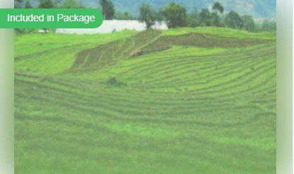 Scaling Sustainability: Lessons from Sikkim